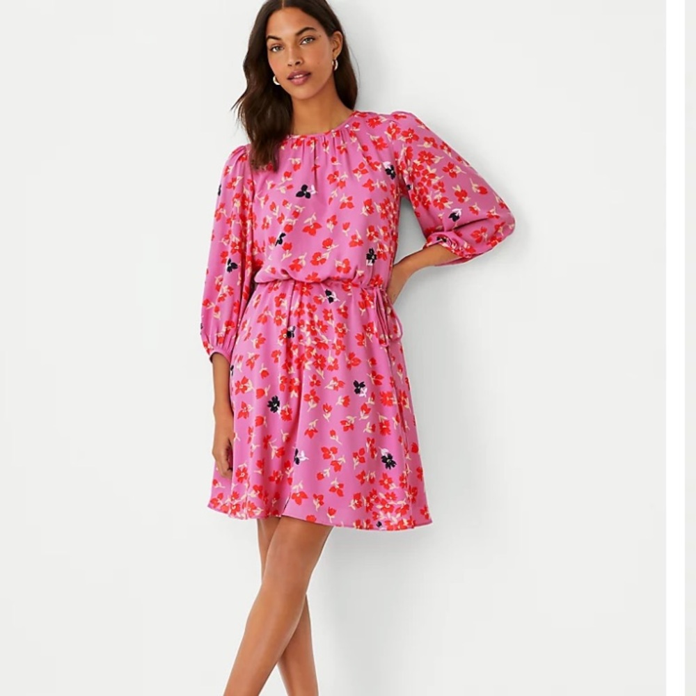 Ann Taylor Dress